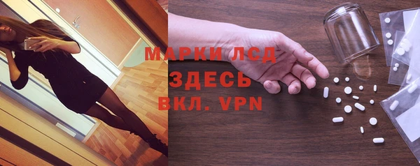 СК Елабуга