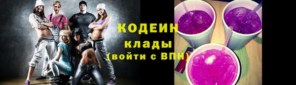 дживик Елизово