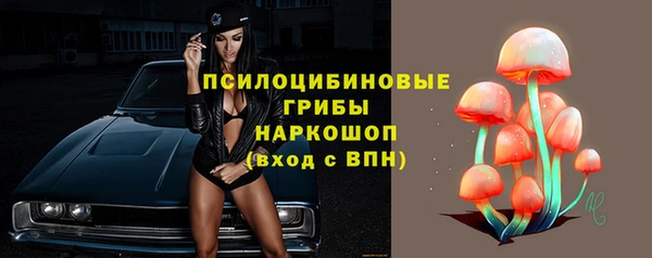 СК Елабуга