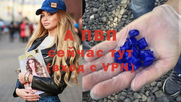 дживик Елизово