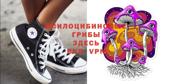 СК Елабуга