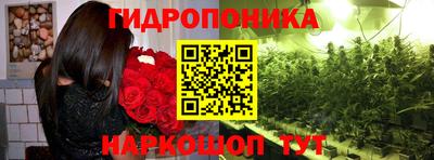 дмт Обь