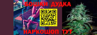 дмт Обь