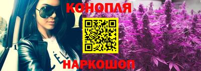 дмт Обь