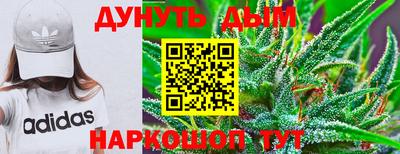 дмт Обь
