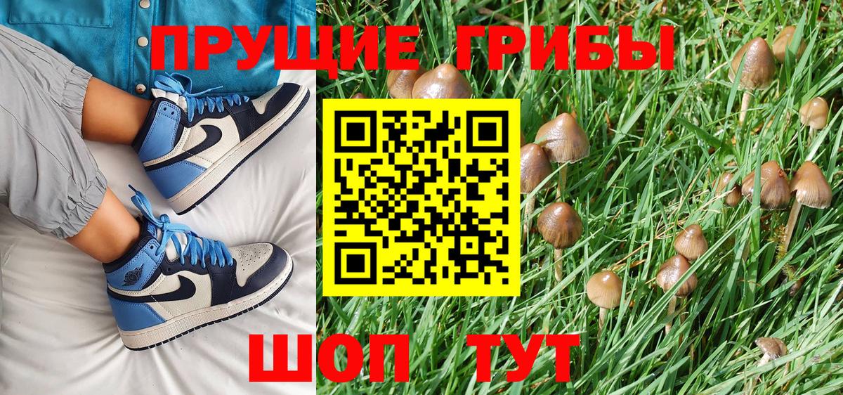 Бутурлиновка  Галлюциногенные грибы Psilocybine cubensis  хочу наркоту  Вход с VPN 